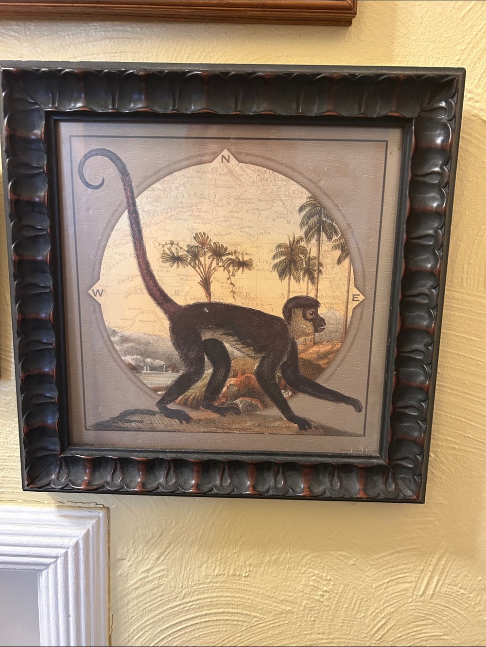 Home & Garden Party framed monkey print designed in a vtg natural history style